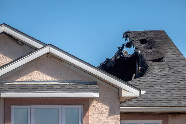 Top rated local Odor Removal specialists in Windsor Mill, MD